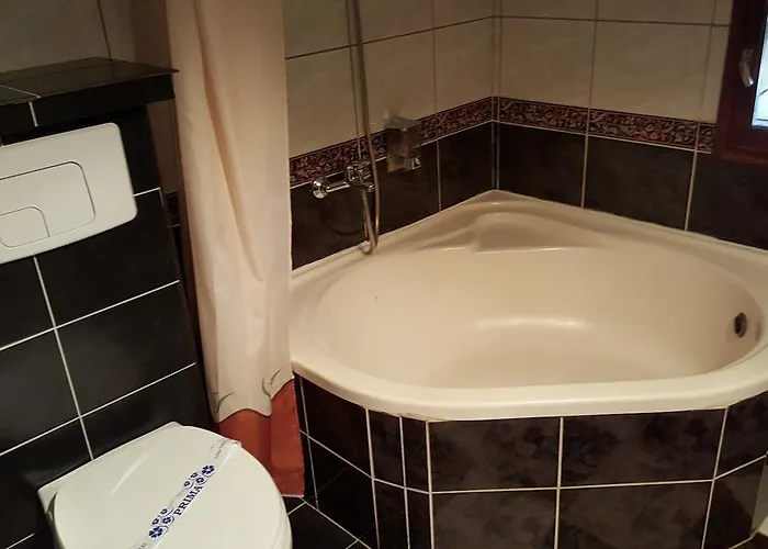 Pensiunea Doria בית הארחה