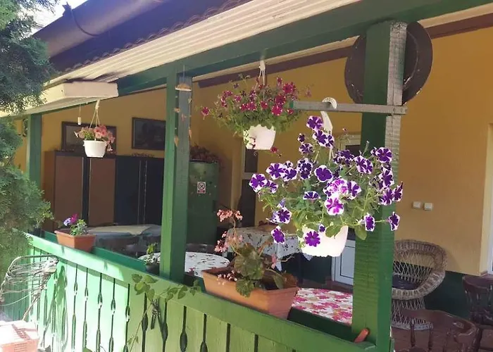 Pensiunea Doria בית הארחה טימישוארה