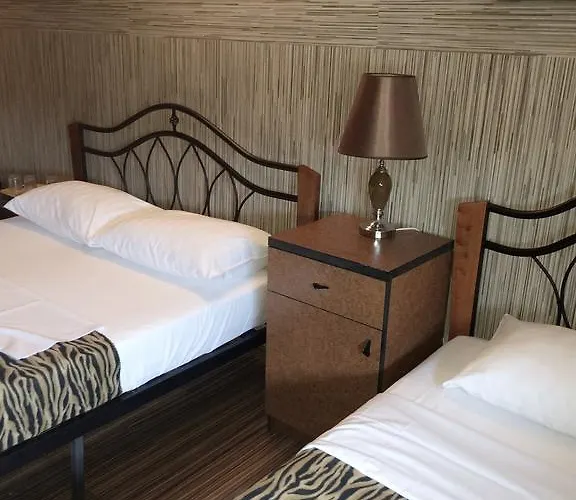 Pensiunea Doria טימישוארה