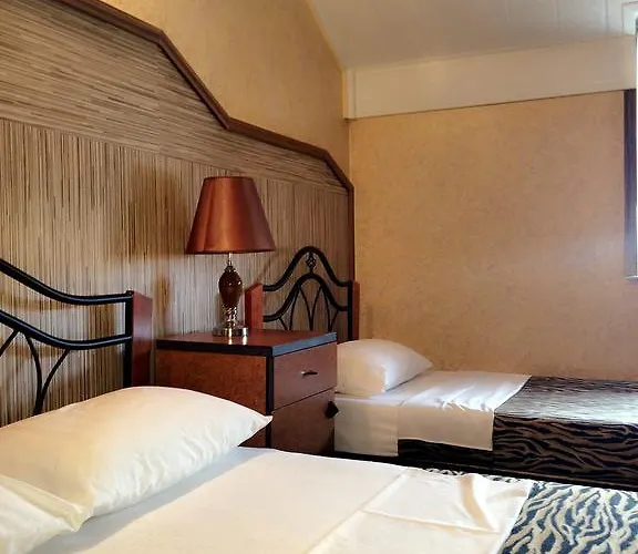 בית הארחה Pensiunea Doria 3*