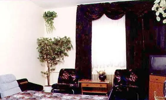 Pensiunea Doria 3* טימישוארה