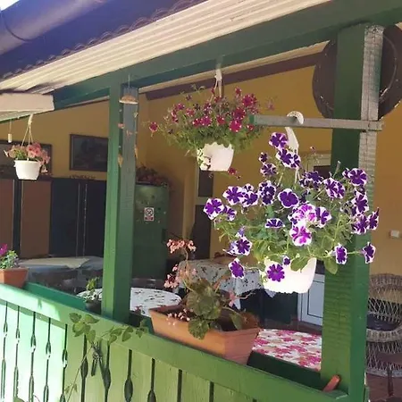 Pensiunea Doria Gæstehus Timişoara