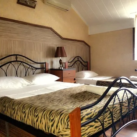 Gæstehus Pensiunea Doria Timişoara