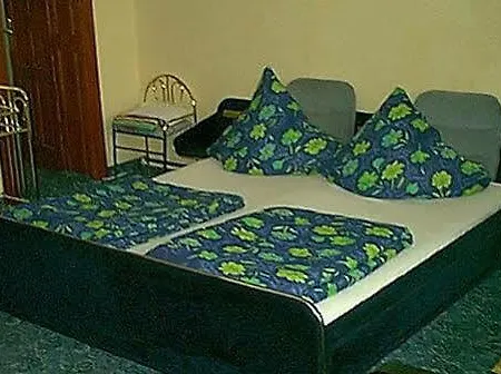 Gæstehus Pensiunea Doria 3*