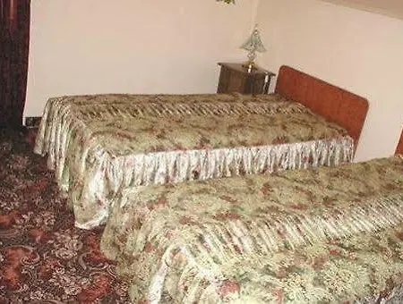 Gæstehus Pensiunea Doria 3*