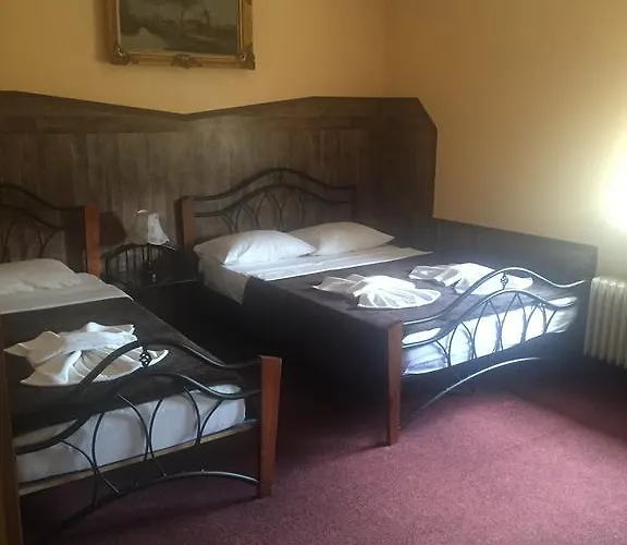 Pensiunea Doria Τιμισοάρα