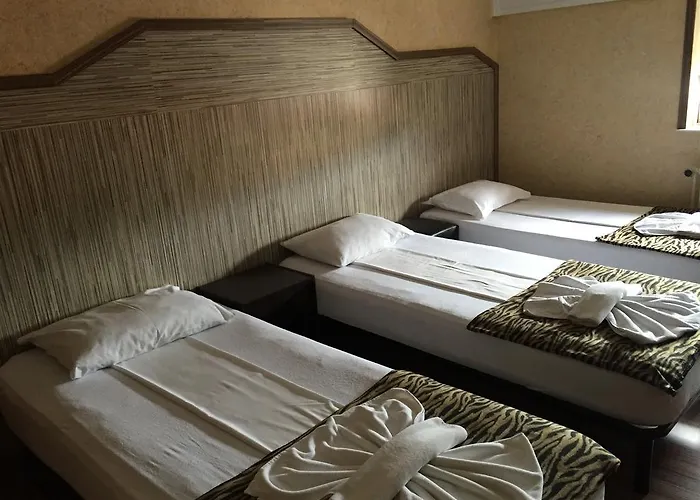 Pensiunea Doria Πανσιόν 3*